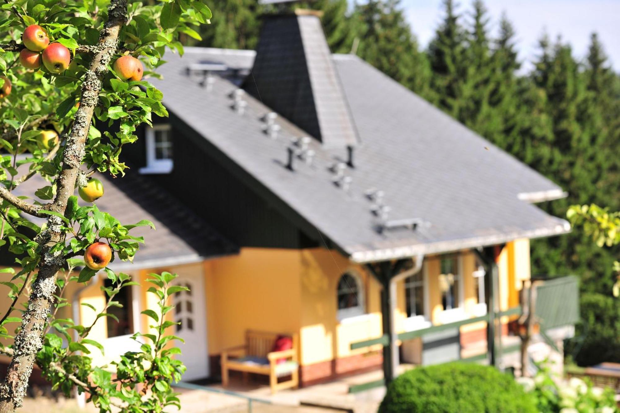 Exklusives Ferienhaus "Waldzauber" Ruhe Und Natur Pur Am Waldrand Geniessen Schoenheide Luaran gambar